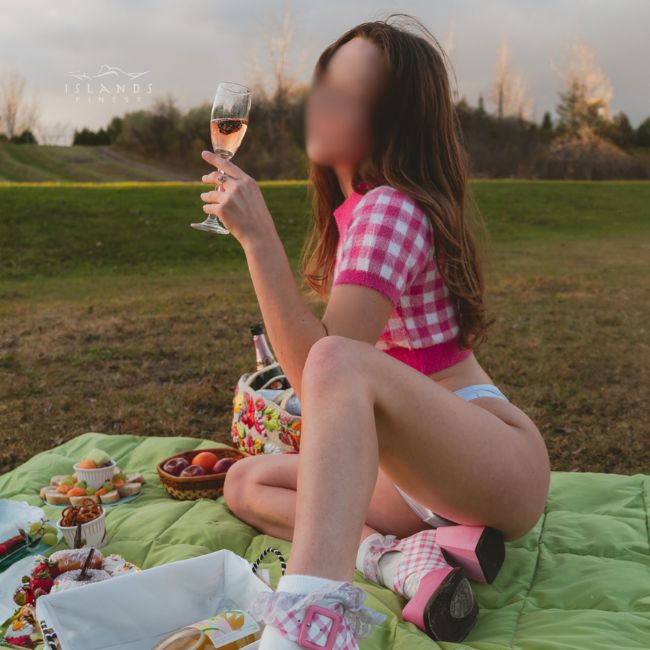 island's finest escort piper picnic on green quilt in pink gingham top and blue panties holding glass of rose 650